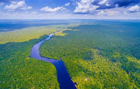  Il Parco do Xingu: Un Oasis di Biodiversità nella Foresta Amazzonica!