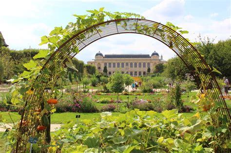  Le Jardin des Plantes: Un'Oasi di Pace e Meraviglie Botaniche nel Cuore di Tolone!