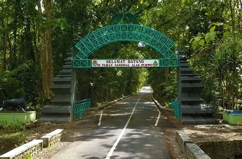  Taman Wisata Alam Alas Purwo: Una Fuga Misteriosa nella Selva Indonesiana!